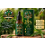 Olej konopny CBD 25%